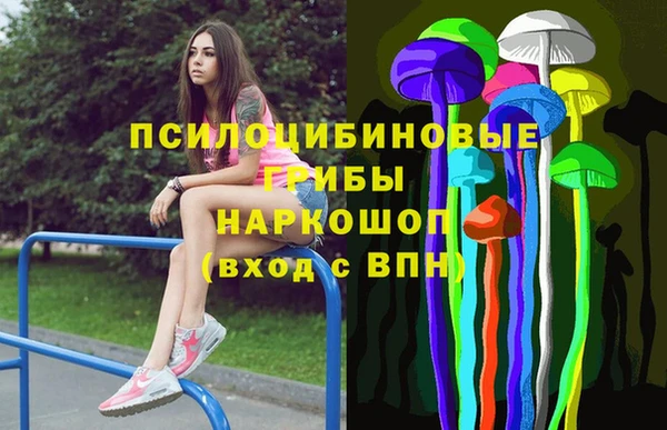 стафф Володарск