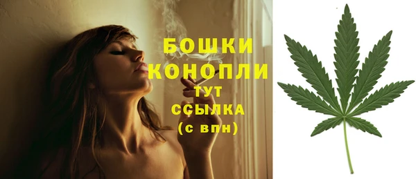 стафф Володарск