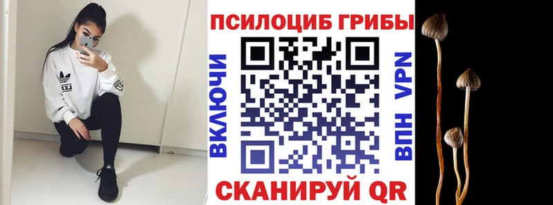 купить закладку  Елец  Псилоцибиновые грибы Cubensis 